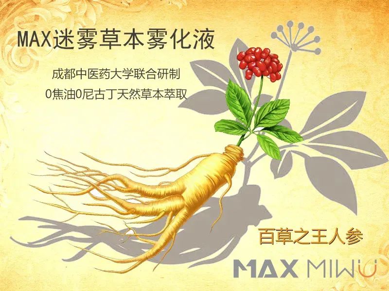 MAX迷雾开启健康雾化新赛道，谈谈迷雾对于市场以及自身发展的见解。