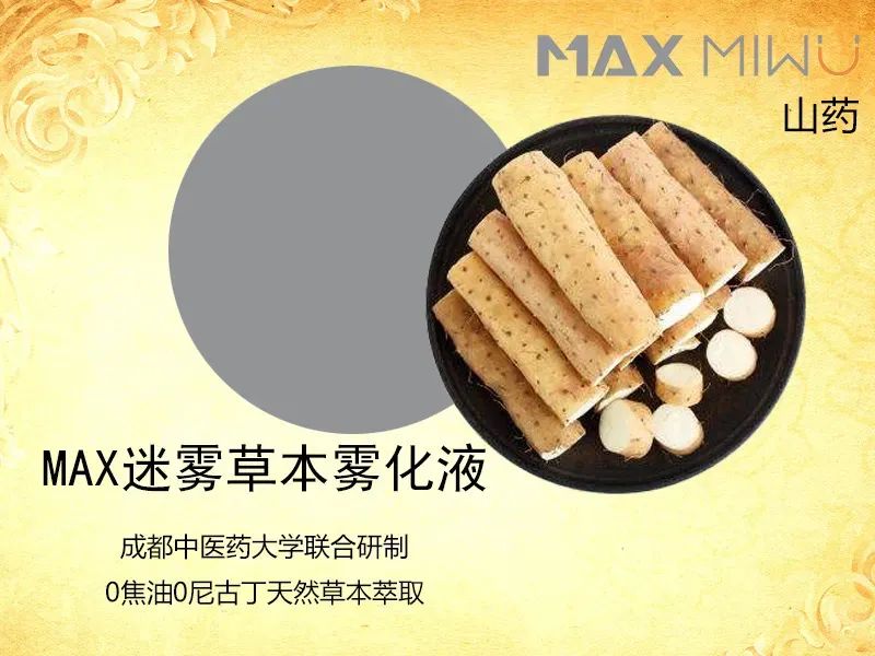 MAX迷雾开启健康雾化新赛道，谈谈迷雾对于市场以及自身发展的见解。