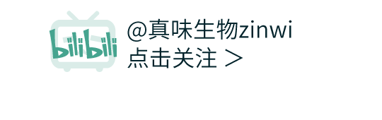 安全与合规，真味生物引领发展新航向