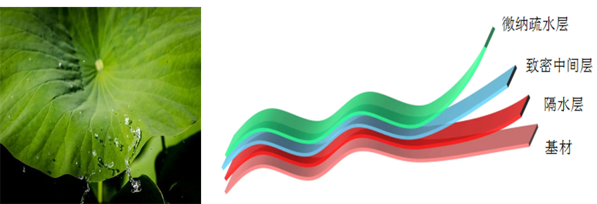 The Application of Siborui Technology's Nanocoating in the E-cigarette Industry