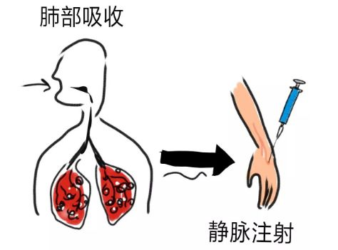 Research on Medical Aerosol Inhalation and the Deposition Sites of Aerosol Particle Size.